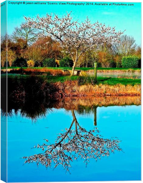 Springtime reflection Canvas Print by Jason Williams