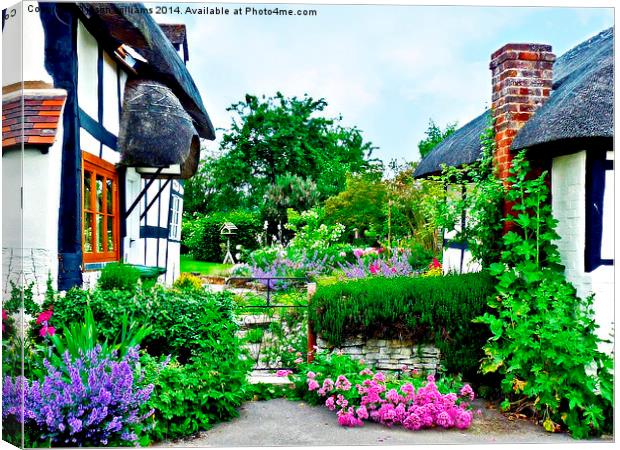  Cottage gardens in bloom.. Canvas Print by Jason Williams