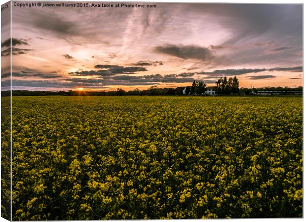 Sunset over Rapeseed.  Canvas Print by Jason Williams