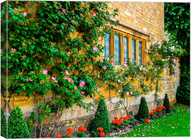  Climbing Roses, Flowers & Architecture. Canvas Print by Jason Williams