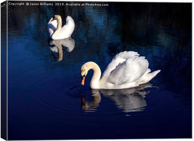 Swan Lake Canvas Print by Jason Williams