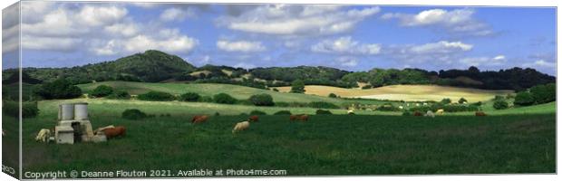 Cattle Grazing Pano in Menorca Spain Canvas Print by Deanne Flouton