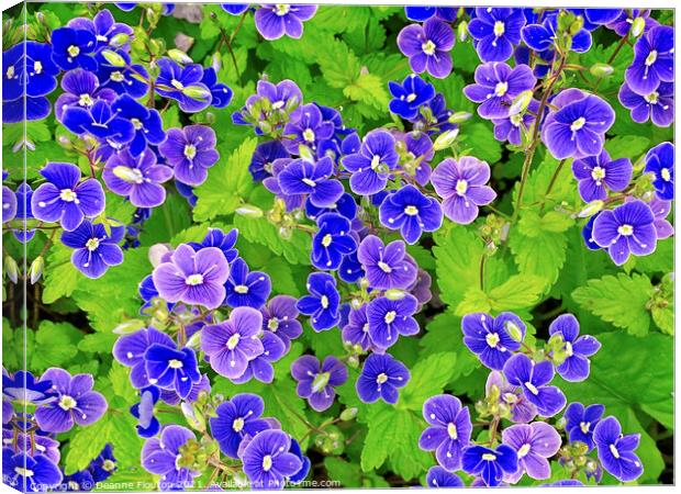 Perky Blue Flowers Canvas Print by Deanne Flouton