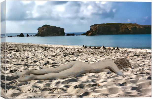 Surreal Sand Sculpture Beach Body Canvas Print by Deanne Flouton