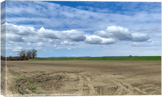 Farmland Fields Canvas Print by Deanne Flouton