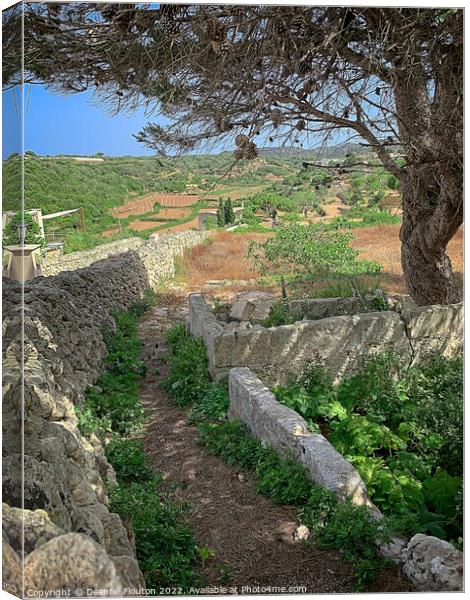 Country Path in Es Migjorn Menorca Canvas Print by Deanne Flouton