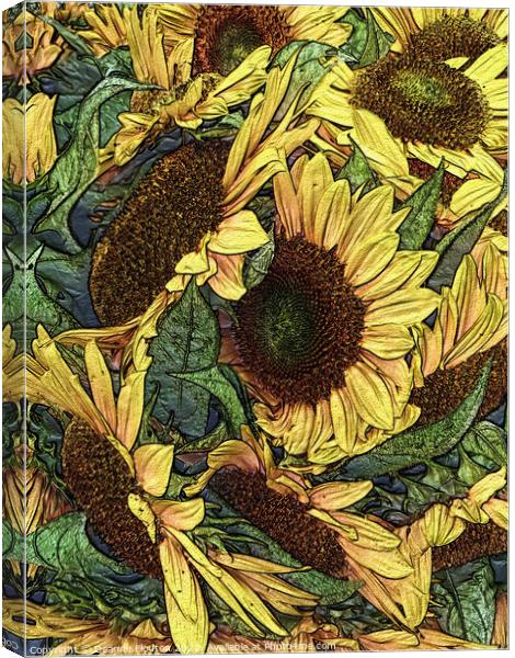 Golden Sunflowers Canvas Print by Deanne Flouton
