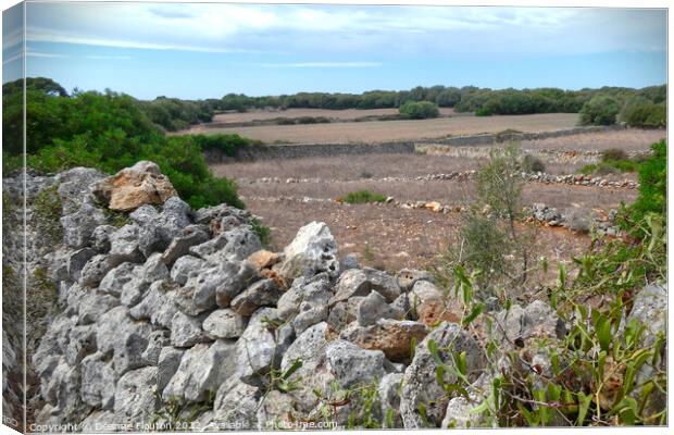 Picturesque  Field and Stone Wall Menorca Canvas Print by Deanne Flouton