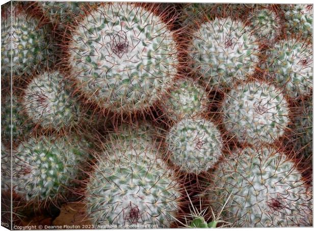 Fiery Spikes of Nature Canvas Print by Deanne Flouton