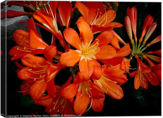 Vivid Orange Beauty Canvas Print by Deanne Flouton