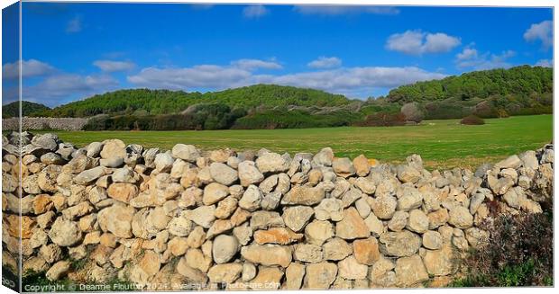 San Adeodato Field Panorama Menorca Canvas Print by Deanne Flouton