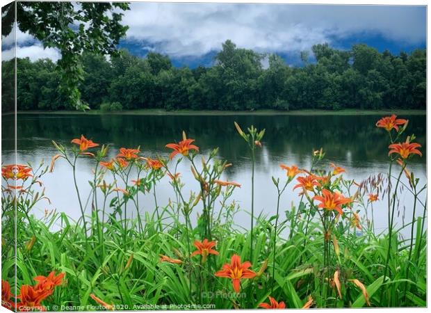 Vivid Orange Lilies Canvas Print by Deanne Flouton