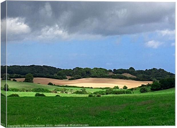 Rolling Hills of Menorca Canvas Print by Deanne Flouton