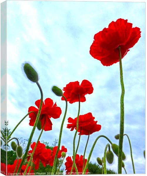 Majestic Poppies in a Field Canvas Print by Deanne Flouton
