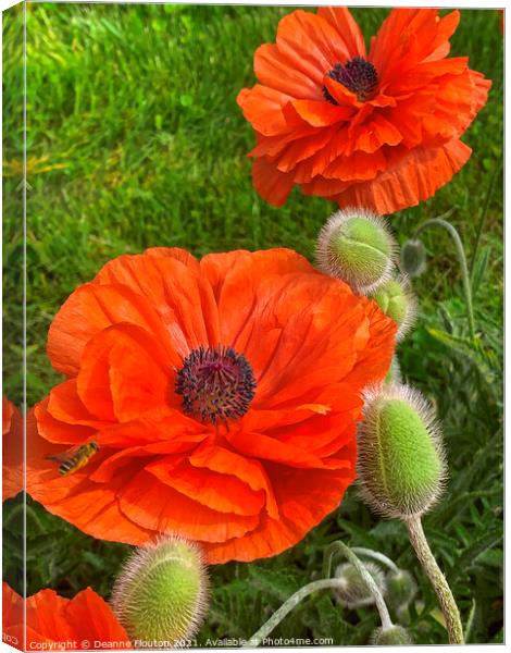 Buzzing Delight Canvas Print by Deanne Flouton