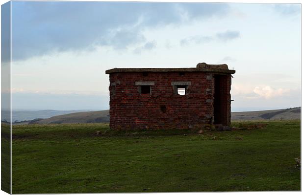 the face of  the look out post Canvas Print by Rhona Ward