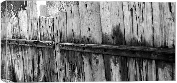 old rustic fence Canvas Print by Rhona Ward