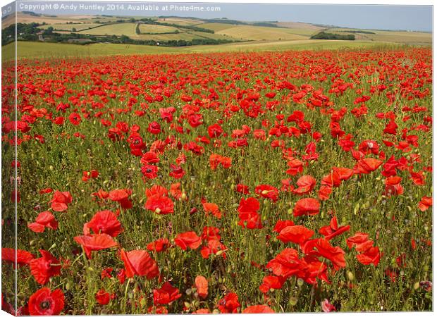 Field of Poppies Canvas Print by Andy Huntley