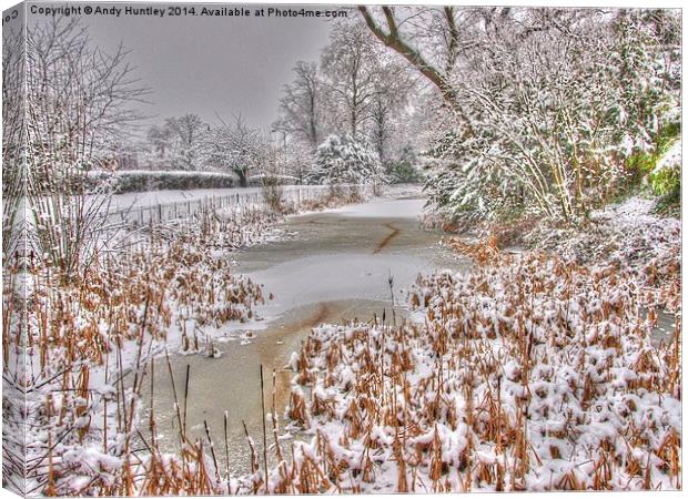 Frozen in Reigate Canvas Print by Andy Huntley