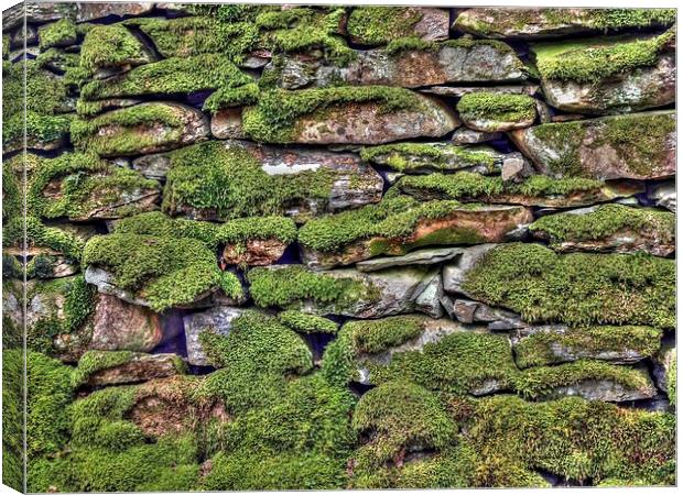 Dry Stone Wall Canvas Print by Andy Huntley