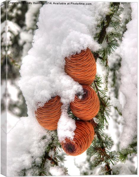 Snow Cones Canvas Print by Andy Huntley