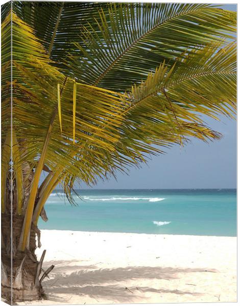 Barbados Beach View Canvas Print by Andy Huntley