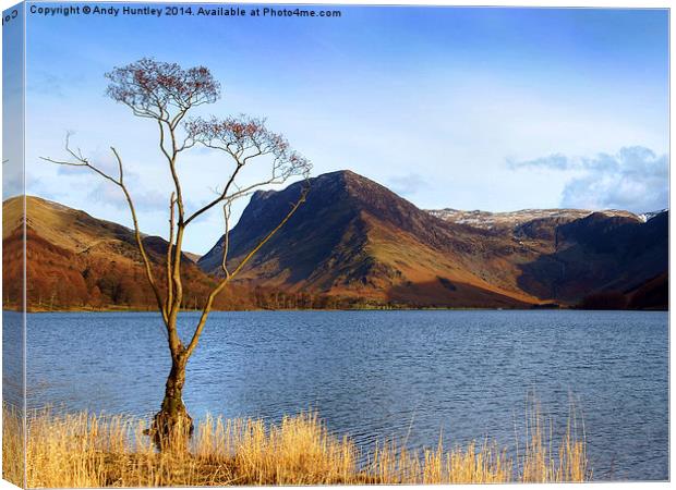 Lake Tree Canvas Print by Andy Huntley