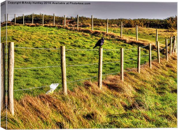 Bird on a Wire(Fence) Canvas Print by Andy Huntley