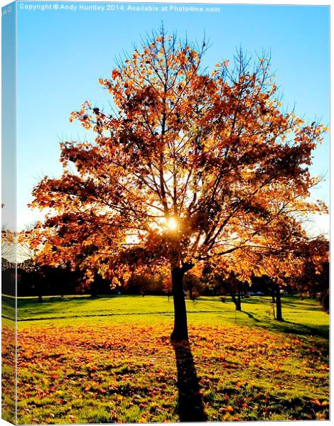 Autumn Tree Canvas Print by Andy Huntley