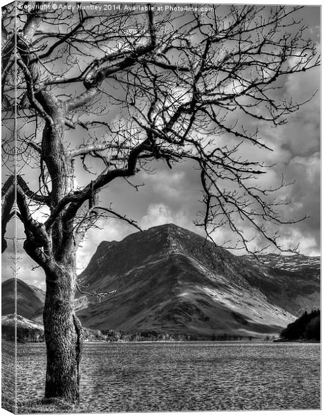 Tree by Lake Canvas Print by Andy Huntley