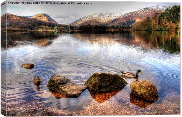 Ducks on Grasmere Canvas Print by Andy Huntley