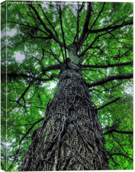 Tree Covered in Roots Canvas Print by Andy Huntley