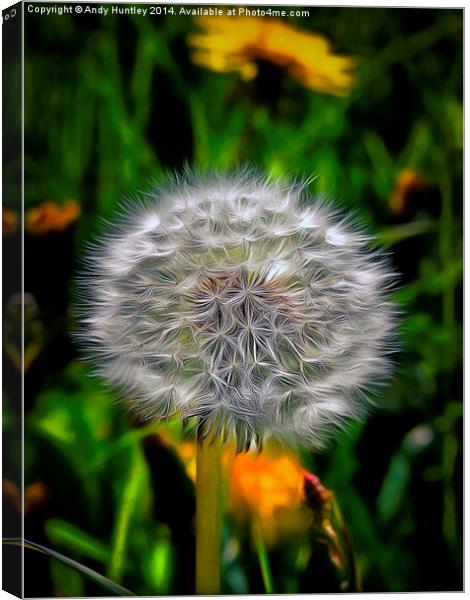  Dandelion in Spring Canvas Print by Andy Huntley