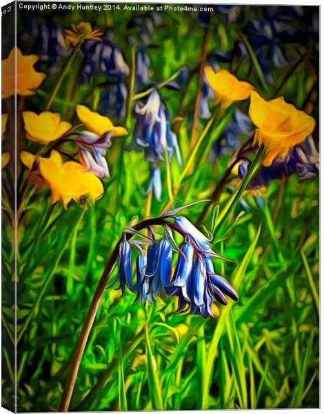  Bluebells and Buttercups Canvas Print by Andy Huntley