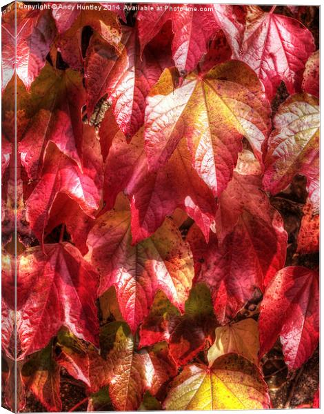  Autumn Leaves Canvas Print by Andy Huntley
