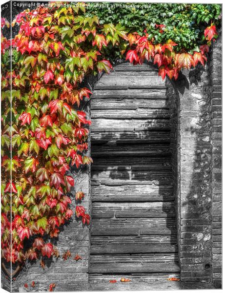 Stone stairs with foliage surround Canvas Print by Andy Huntley