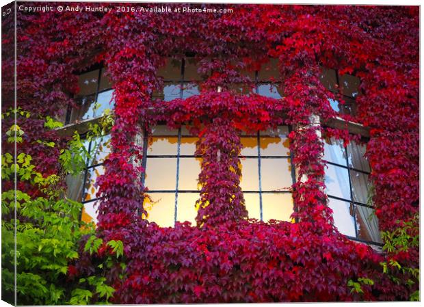 Ivy Window Canvas Print by Andy Huntley
