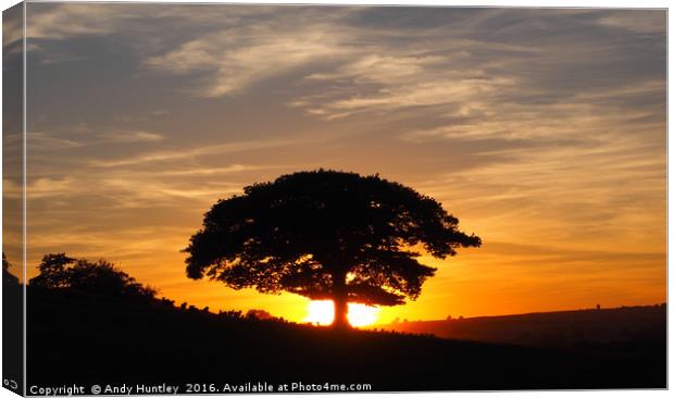 Oak Tree in Sunset Canvas Print by Andy Huntley