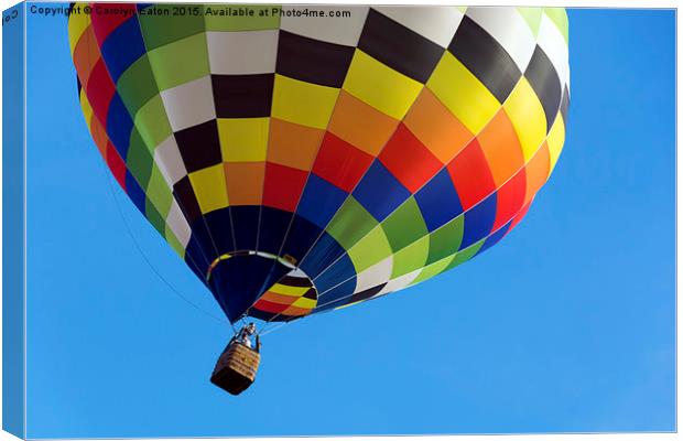  Up, Up and Away Canvas Print by Carolyn Eaton
