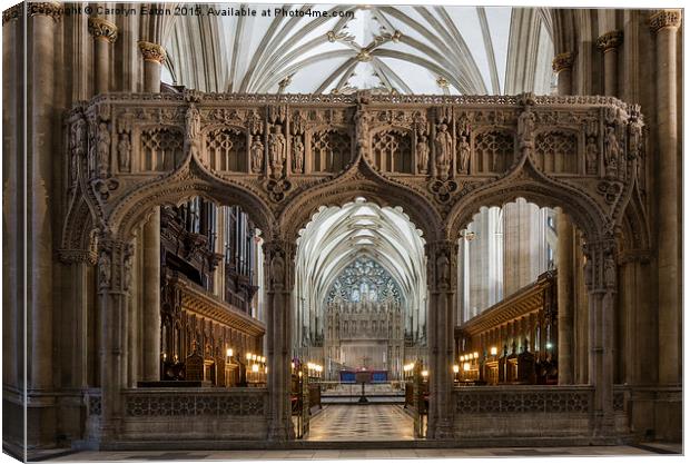  Through the Screen, Bristol Cathedral Canvas Print by Carolyn Eaton