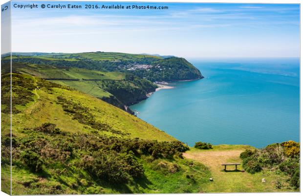 Where Exmoor Meets the Sea Canvas Print by Carolyn Eaton