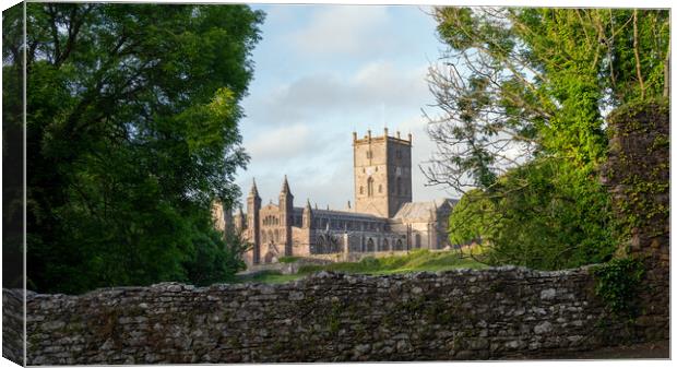 St davids cathedral Canvas Print by Alan Tunnicliffe
