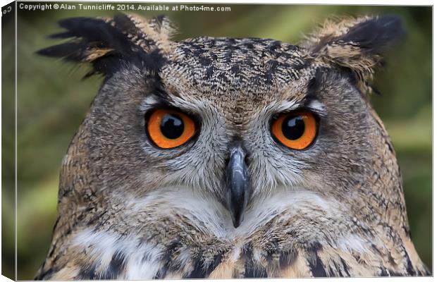  Eagle Owl Canvas Print by Alan Tunnicliffe