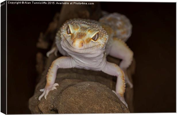  Gecko  Canvas Print by Alan Tunnicliffe