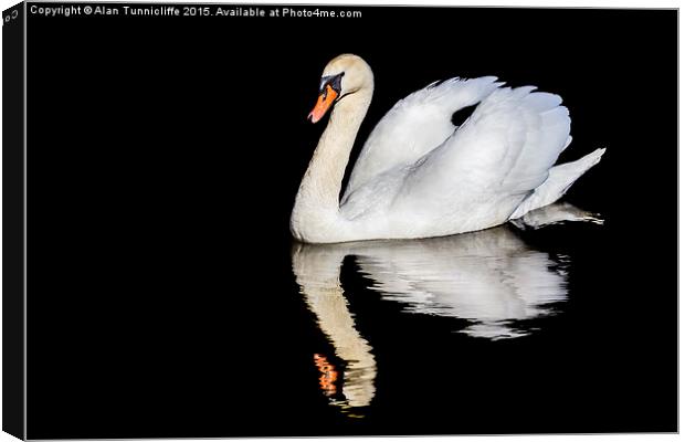  Mute swan with reflection Canvas Print by Alan Tunnicliffe