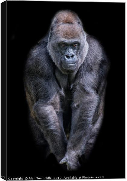 Majestic Silverback Gorilla Canvas Print by Alan Tunnicliffe