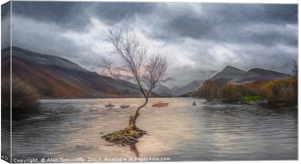 Solitude of Nature Canvas Print by Alan Tunnicliffe