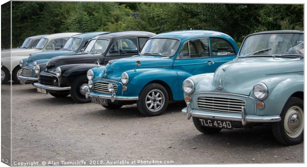 Vintage Beauty in a Line Canvas Print by Alan Tunnicliffe