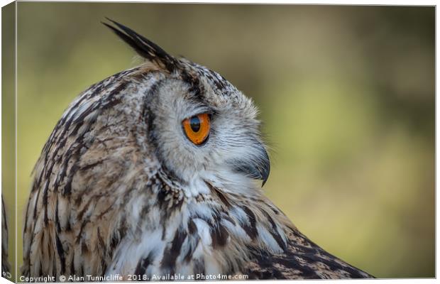 Eurasian eagle owl Canvas Print by Alan Tunnicliffe