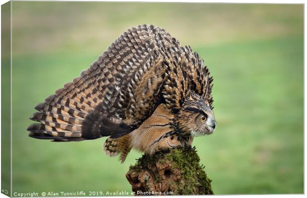 Eurasian eagle owl Canvas Print by Alan Tunnicliffe